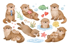 Cute Sea Otter Clipart Watercolor Product Image 2