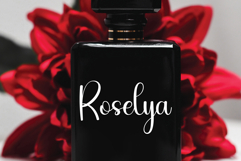 Vacation Product Image 2