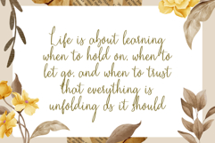 The Bellerose typeface Product Image 3