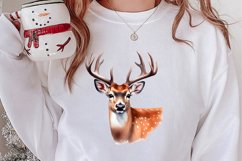 Watercolor Christmas Deer Sublimation Bundle, Christmas Deer Product Image 2