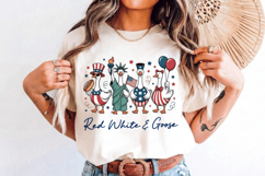 Patriotic Funny Goose PNG T-Shirt|4th of July PNG Sublimatio Product Image 8