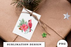 Watercolor Christmas Bouquet clipart PNG Product Image 2