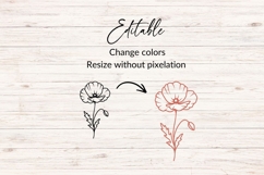 Hand Drawn Poppy Flower Stem SVG Product Image 2