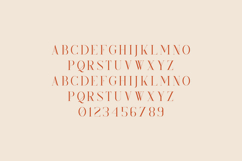 Kindel Elegant Display Serif Product Image 2