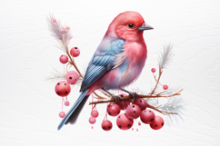 Chirstmas Birds Clipart PNG Product Image 2
