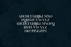 Orphic Serif Font Elegant Organic Modern Product Image 2