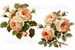 Flowers, Junk Journal, PNG, Clipart, Ephemera, Botanical Product Image 2