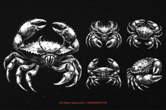 10 Bundle Dark Art Cancer Crabs Gothic Horror Beast Animal Product Image 3
