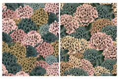 Botanical, Papers, Junk Journal Product Image 2