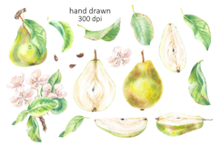 Pear with Flowers and Leaves Watercolor Clip Art Fruit Food Product Image 2