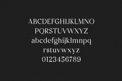 Creators Type Elegant Modern Serif Font Product Image 2