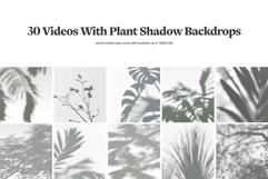 Plant Shadow Backdrops Video Bundle Product Image 2
