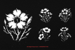10 Bundle Dark Art Adenium Flower Botanical Floral Wild Product Image 3