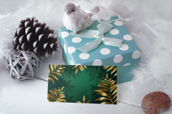 Framing golden fern Product Image 2