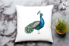 Peacock Watercolor Illustration Clipart PNG Product Image 2