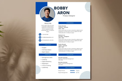 13 Blue White Resume CV - Canva Product Image 2