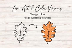 Hand Drawn Autumn Leaf SVG Product Image 2