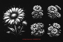 10 Bundle Dark Art Daisy Flower Daisies Floral Wildflower Product Image 3