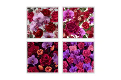 Orchid & Rose Flower Digital Paper | Flower Pattern Product Image 2