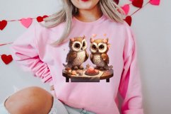 Couple Owl Valentines Day Clipart, Couple Owl Clipart Product Image 2