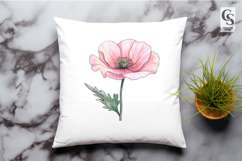 Pink Poppy Floral Clipart Sublimation PNG Product Image 2