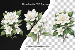 15 Bundle Watercolor Jasmine Flower Decoration Wedding Product Image 2