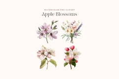 Watercolor Apple Blossoms Cliparts Product Image 2