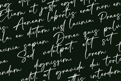 Signatura Onellander a Handwritten Font Product Image 2