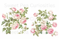 Flowers, Clipart, Ephemera, PNG, Junk journal, Shabby Chic Product Image 2