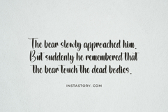 Raphity Product Image 2