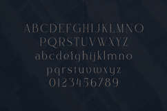 Alora Elegant Modern Serif Font Product Image 2
