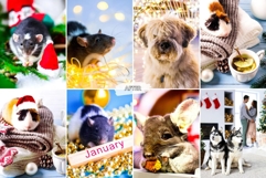 10 Snowy Pawprints Mobile Lightroom Presets Product Image 2