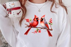 Christmas Cardinal Watercolor Clipart, Christmas Cardinal Product Image 2