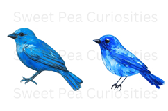 Birds, Blue, Enamel, Flowers, Ephemera, PNG, Clipart Product Image 2