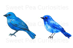 Birds, Blue, Enamel, Flowers, Ephemera, PNG, Clipart Product Image 2