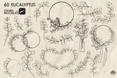 Eucalyptus Procreate stamp brush Product Image 2