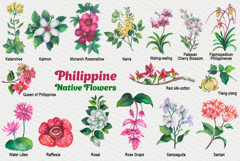 Philippine Native Flowers watercolor Product Image 3