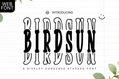 Birdsun Condense Stacked - A Bold &amp; Stylish Display Font Product Image 1