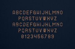 Alpha Organic Distressed Display Font Product Image 2