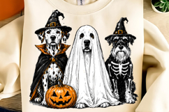 Raccoon Ghost PNG, Trending Halloween PNG, Halloween Dog PNG Product Image 4