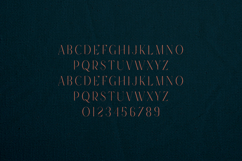 Future Flow Elegant Cut Serif Typeface Product Image 2