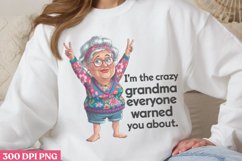Everyone Warned You PNG, Funny Grandma Sublimation Quote Product Image 1
