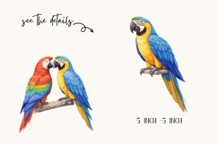 Colorful Parrots Clipart Bundle 20 Product Image 2