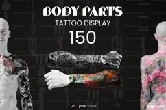 Procreate Body Parts Brushes Bundle | Stamps | Brush Set Product Image 2