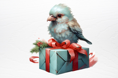 Chirstmas Birds Clipart PNG Product Image 2