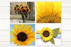 Sublimation Sunflower Straight Skinny tumbler design bundle Product Image 2