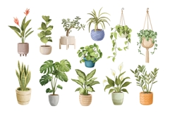 Watercolor Houseplants Clipart Product Image 2