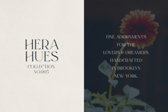Evalinor A Modern Serif Font Product Image 2