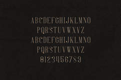 French Elegant Modern Serif Font Product Image 2