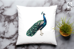 Watercolor Peacock Illustration Clipart Sublimation PNG Product Image 3